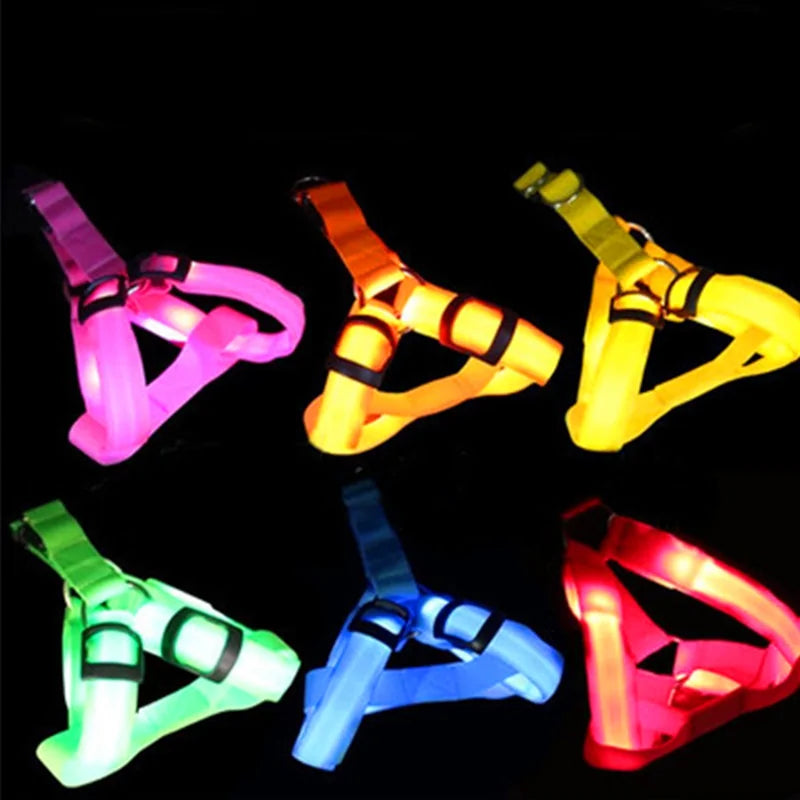 Nylon Harness with Built-in LED lights