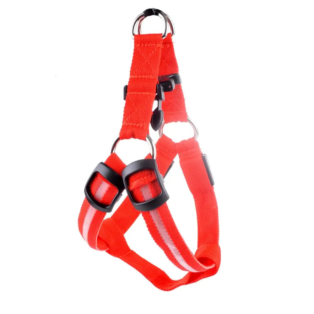 Nylon Harness with Built-in LED lights