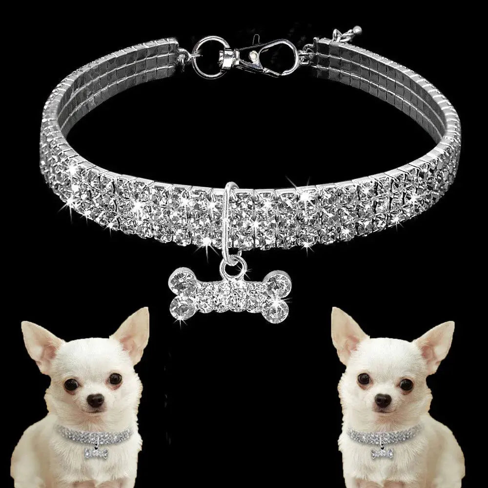 Bedazzled Dog Collar