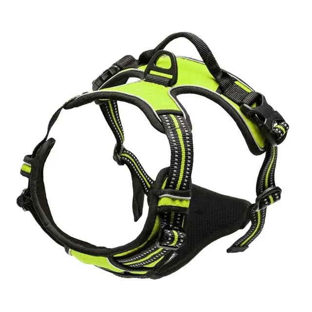 Fit and Secure Harness