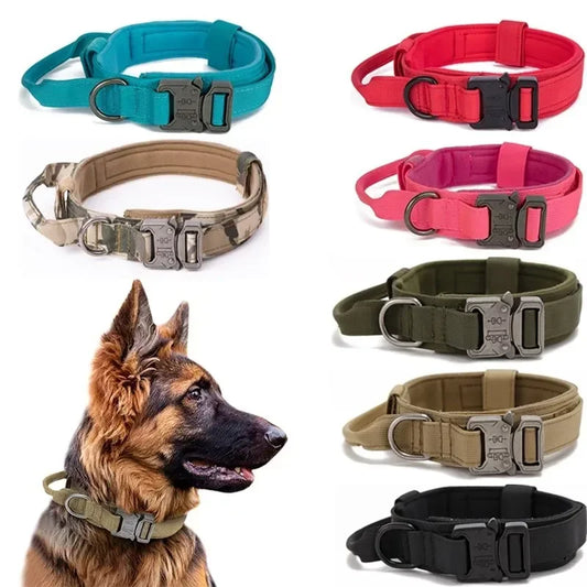 AdventurePro Durable Collar and Leash