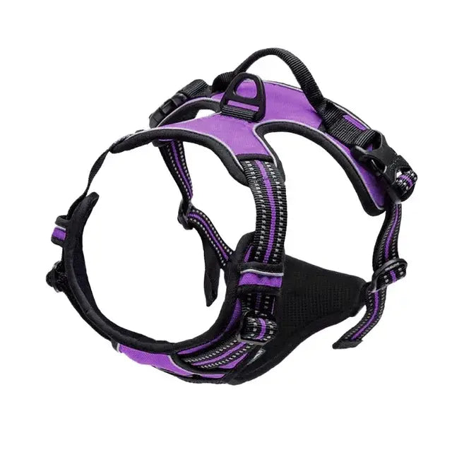 Fit and Secure Harness