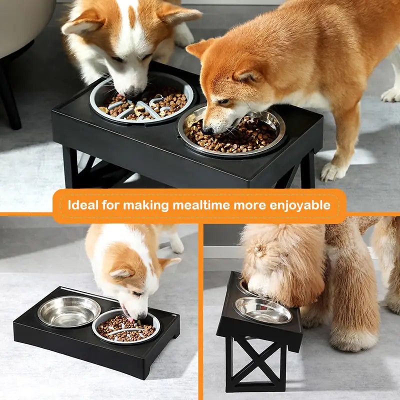 Elevated Mess-Free Dog Bowl