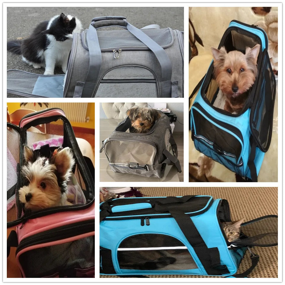 Ultimate Comfort Pet Carrier