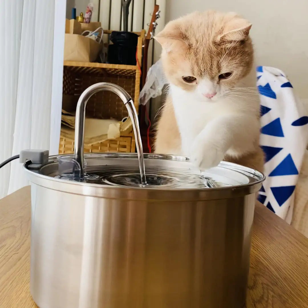 Built-In Filter Water Fountain For Cats