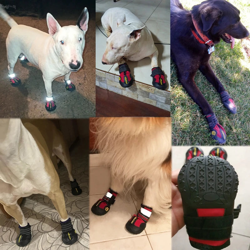 4 pcs Dog Shoe Set