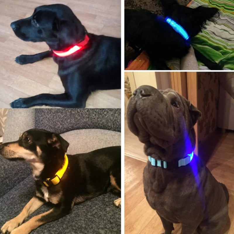 BrightPaw LED Pet Collar