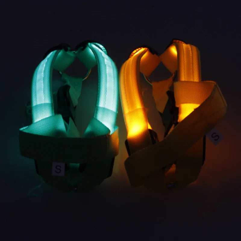 Nylon Harness with Built-in LED lights