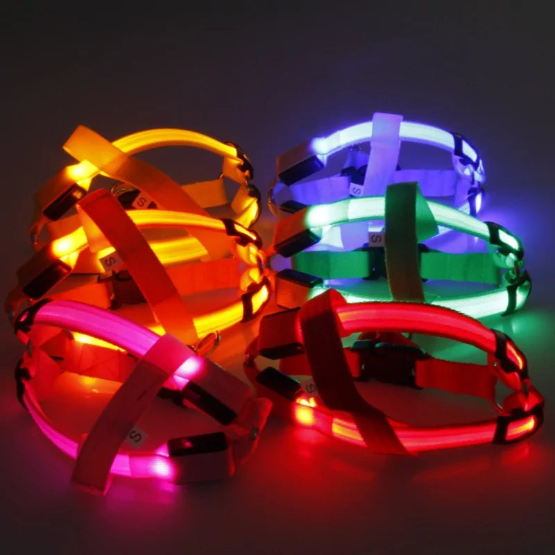 Nylon Harness with Built-in LED lights