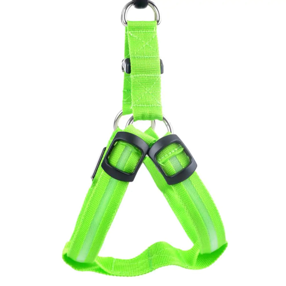 Nylon Harness with Built-in LED lights