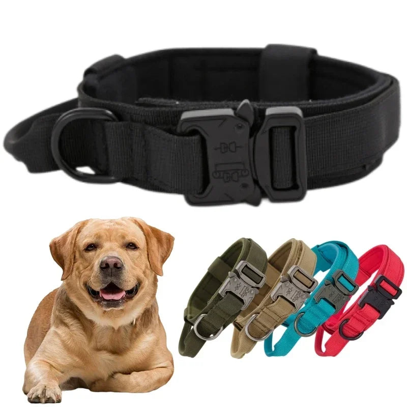 AdventurePro Durable Collar and Leash