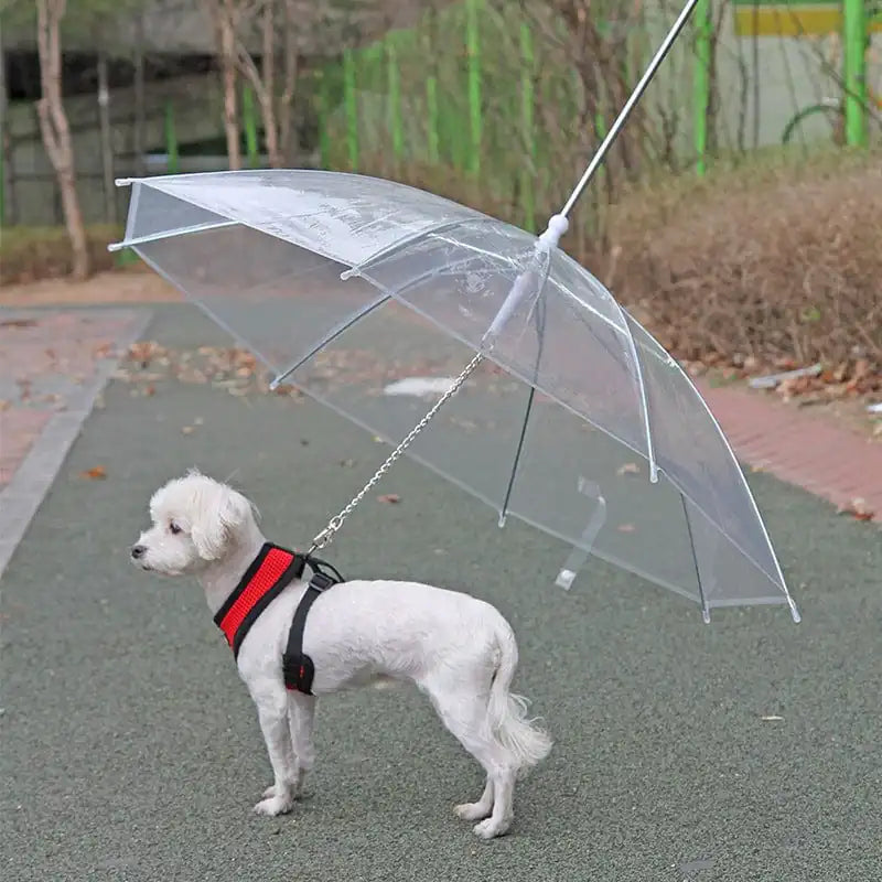 Transparent Umbrella Leash