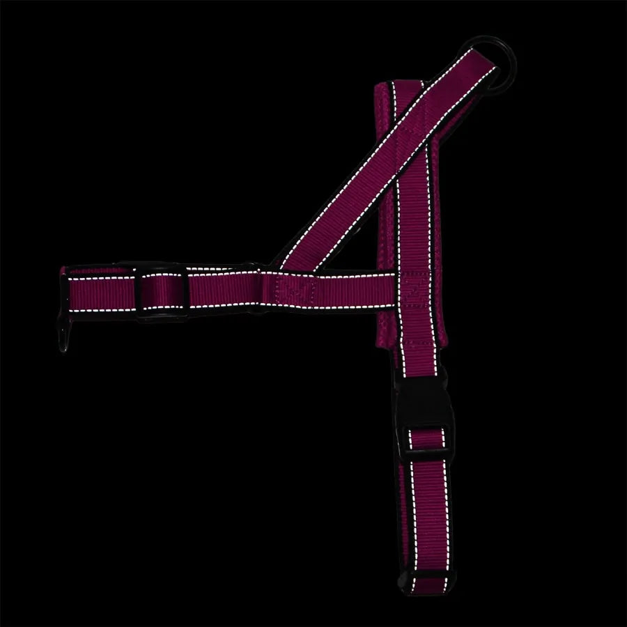 SecureFit Adjustable Harness