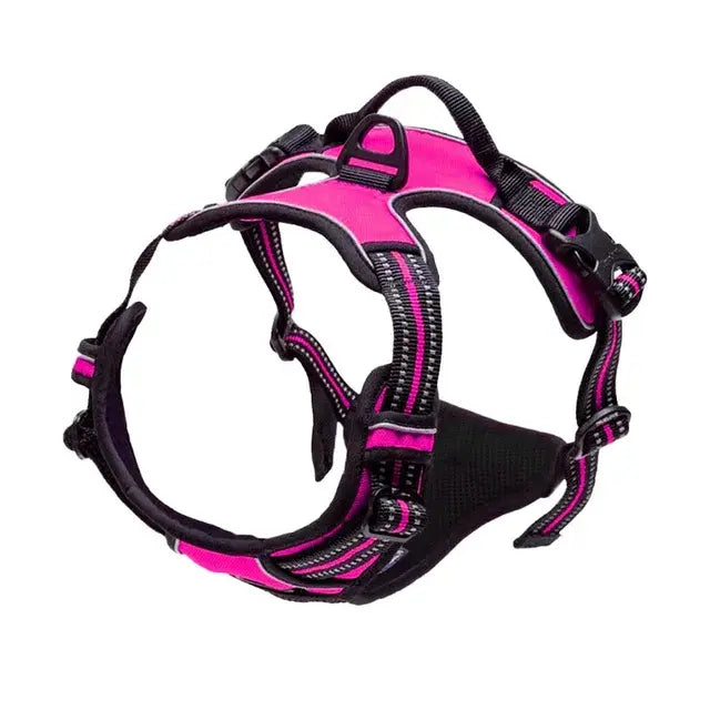 Fit and Secure Harness