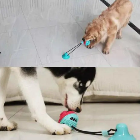 Multifunction Suction Dog Toy