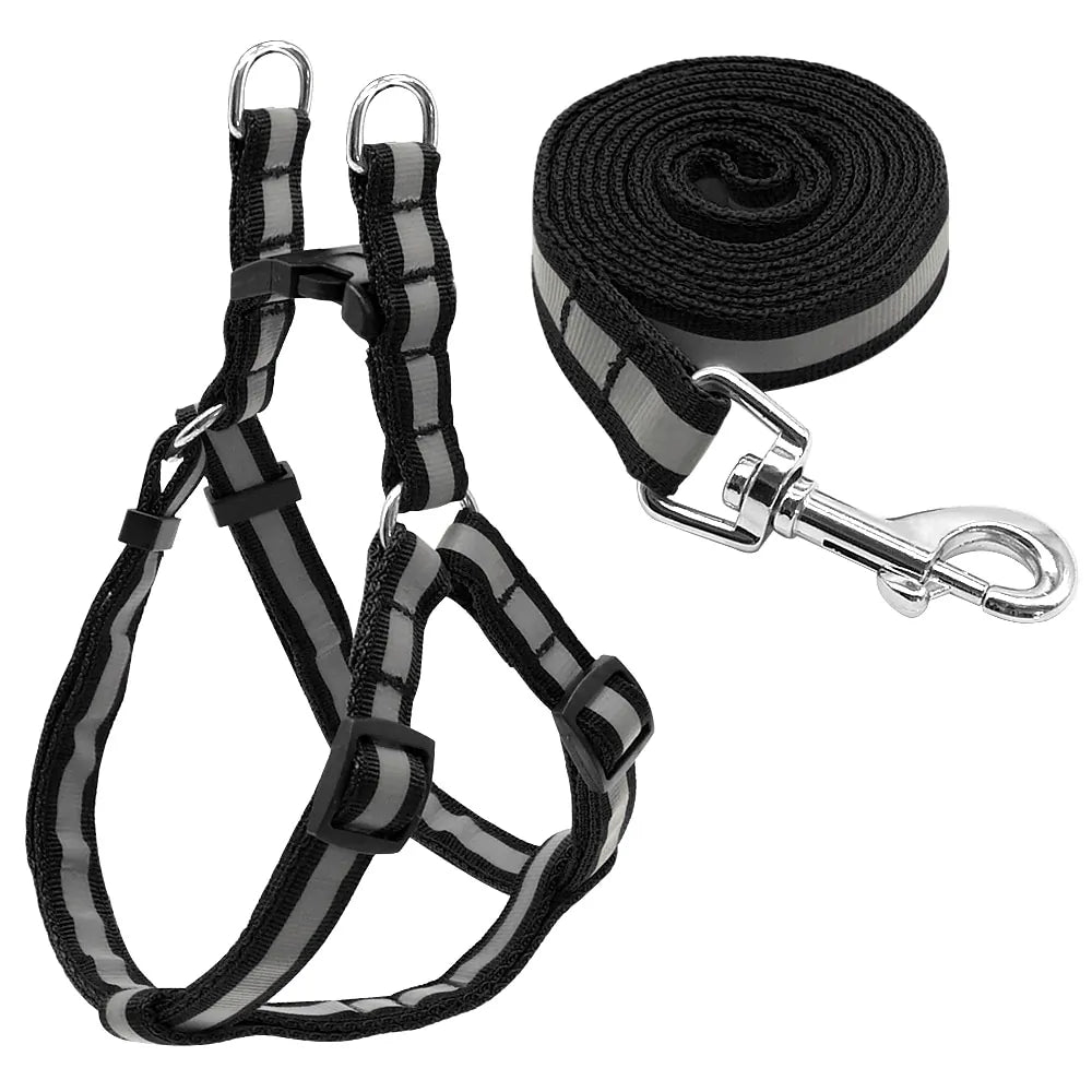 Leash and Harness Pair