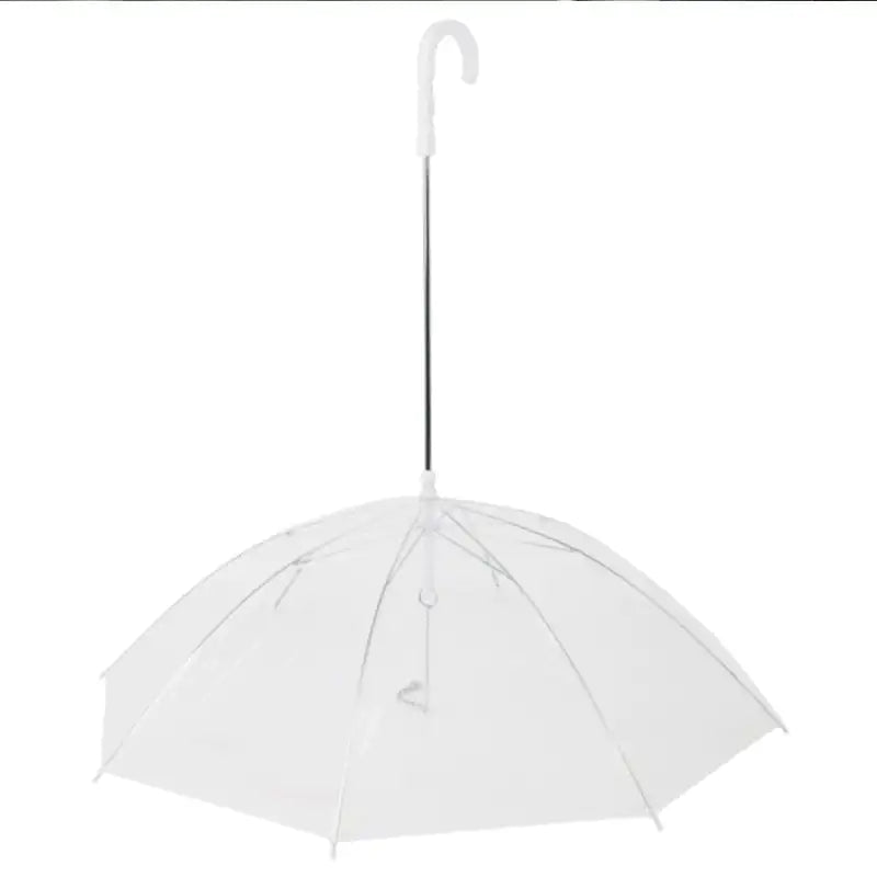 Transparent Umbrella Leash