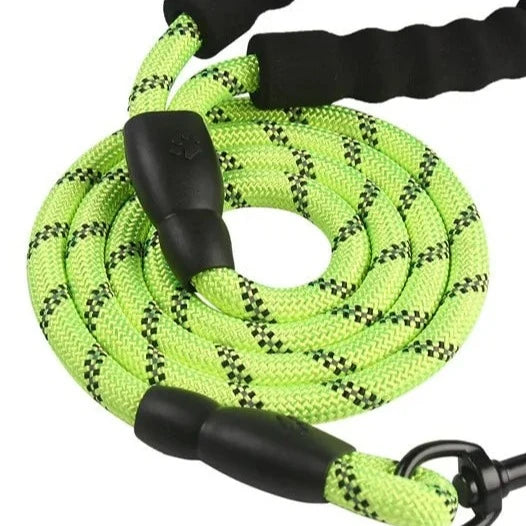 Training Dog Leash