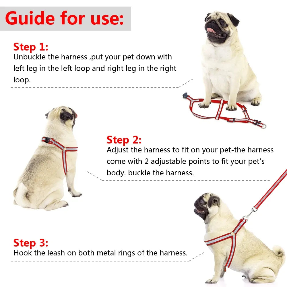 Leash and Harness Pair