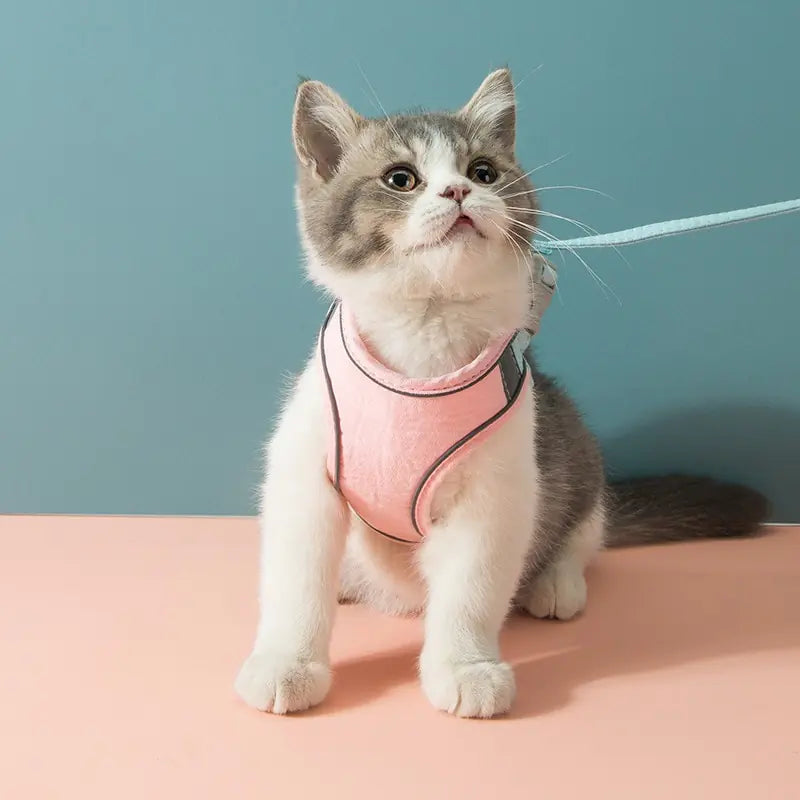 Pastel Cat Harness and Leash Set