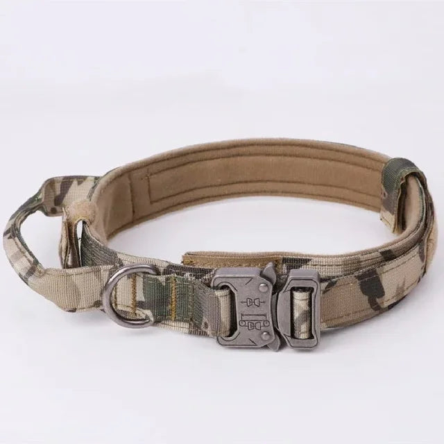 AdventurePro Durable Collar and Leash