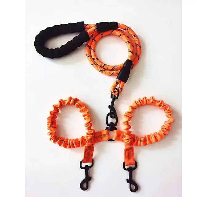 TwinControl Double Dog Leash