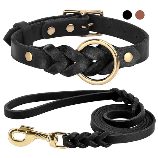 Sleek Stylish Leash and Collar Set