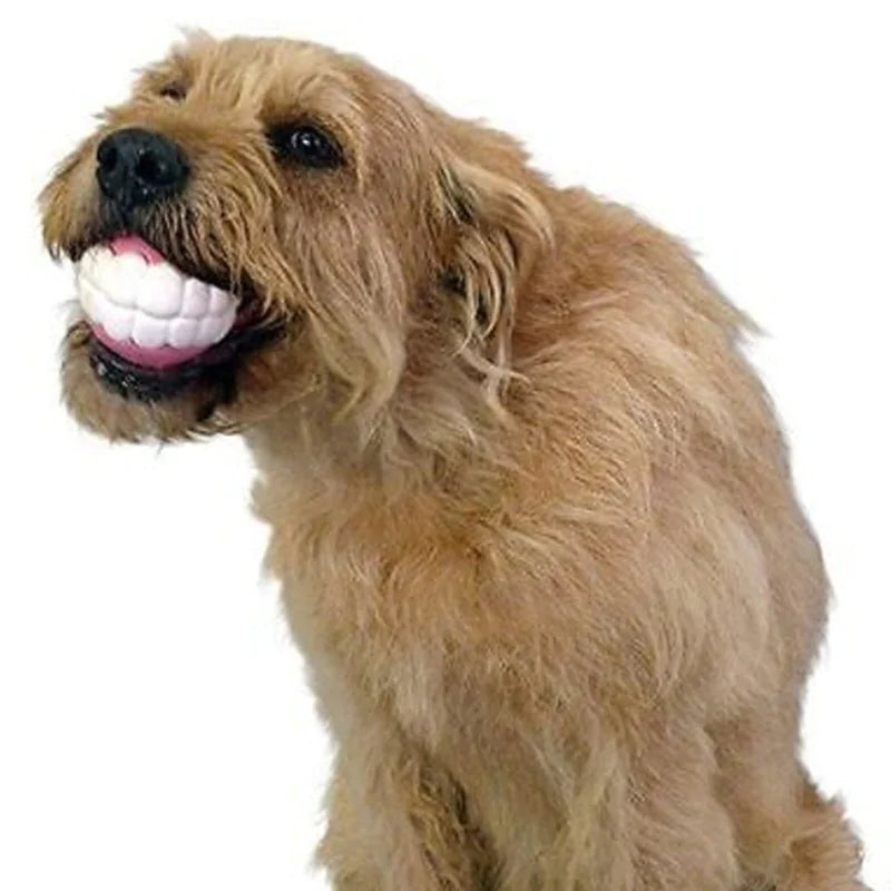 Funny Cute Durable Chew Ball with Teeth