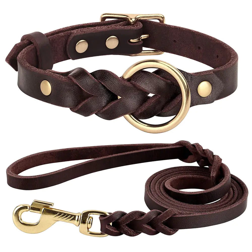 Sleek Stylish Leash and Collar Set