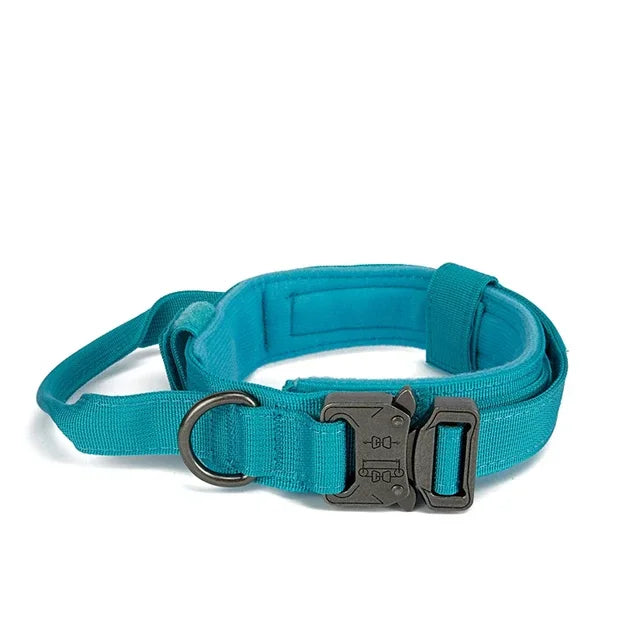 AdventurePro Durable Collar and Leash