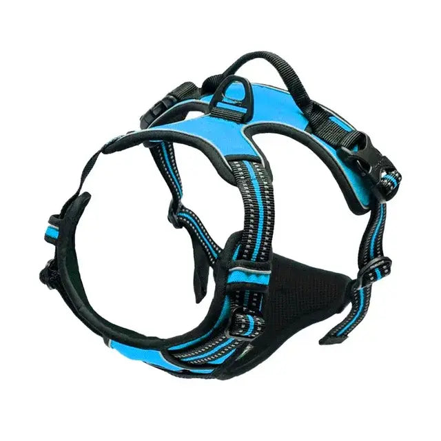 Fit and Secure Harness