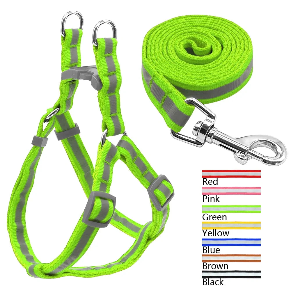 Leash and Harness Pair