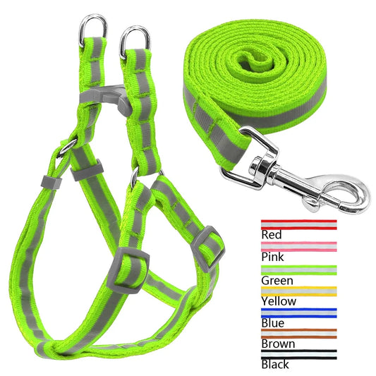 Leash and Harness Pair