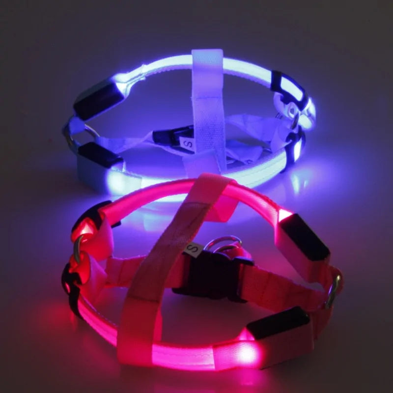 Nylon Harness with Built-in LED lights