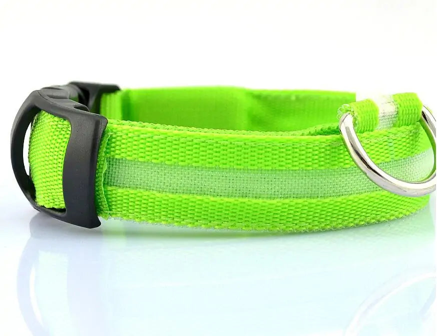 BrightPaw LED Pet Collar