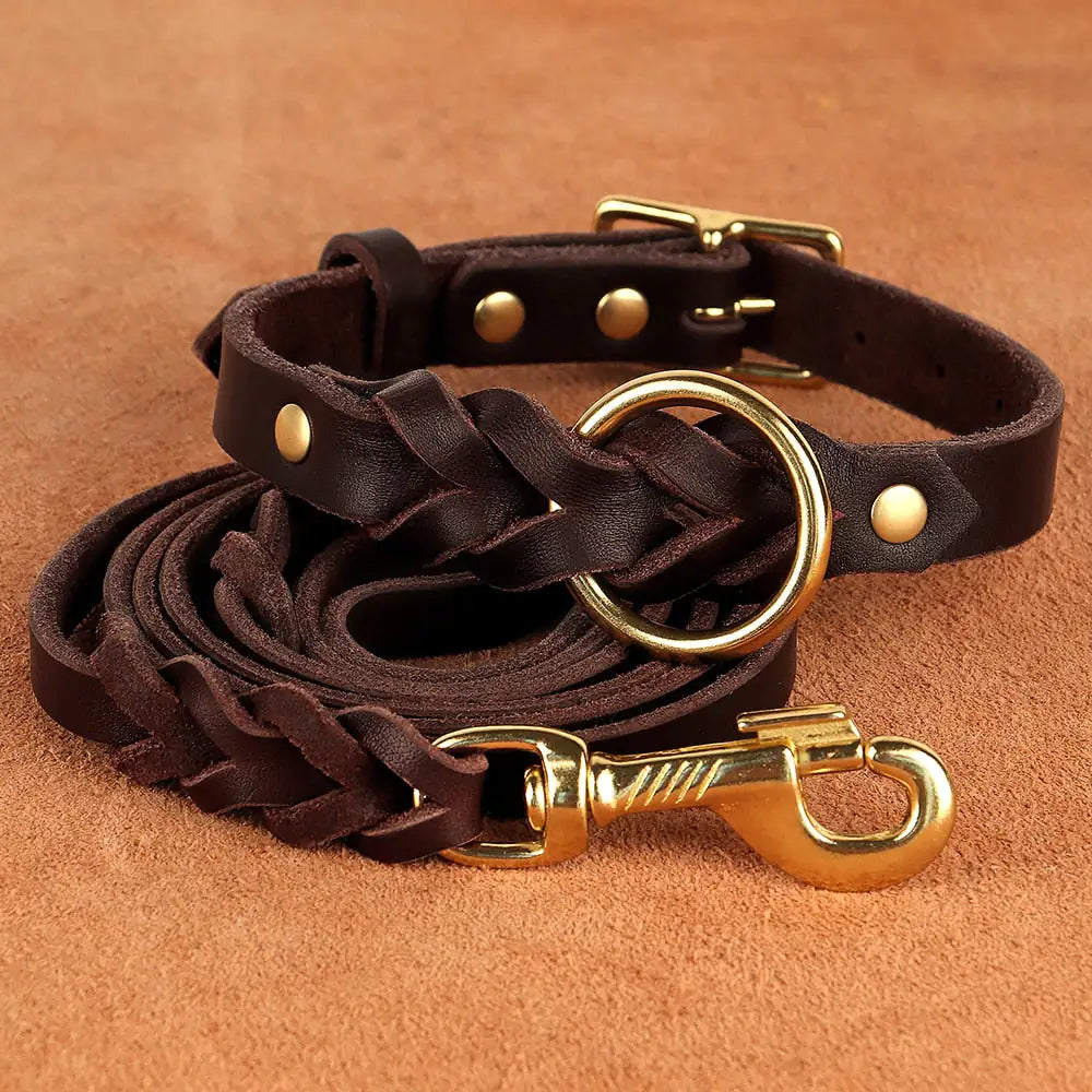 Sleek Stylish Leash and Collar Set