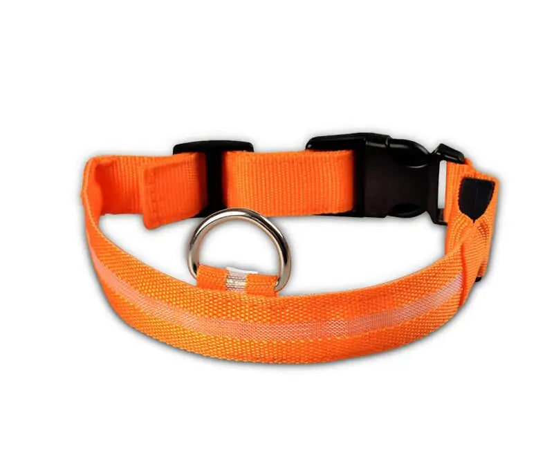 BrightPaw LED Pet Collar