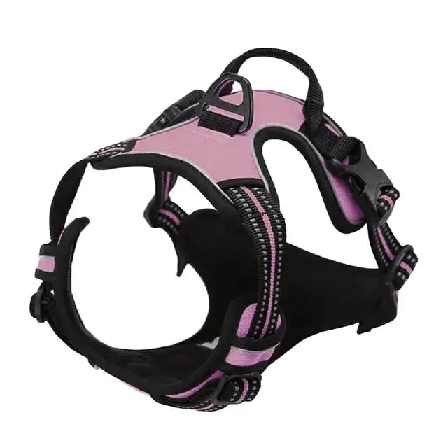 Fit and Secure Harness