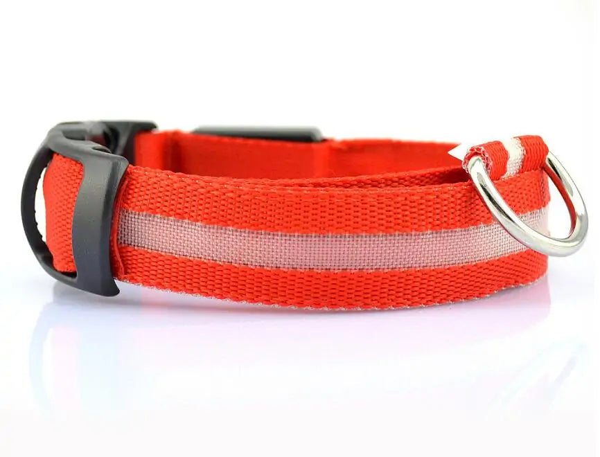 BrightPaw LED Pet Collar