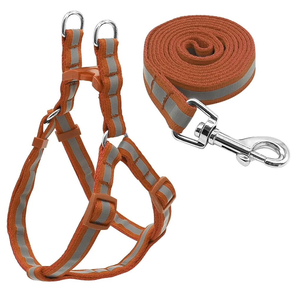 Leash and Harness Pair