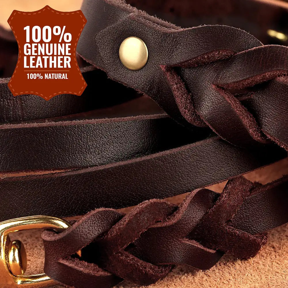 Sleek Stylish Leash and Collar Set