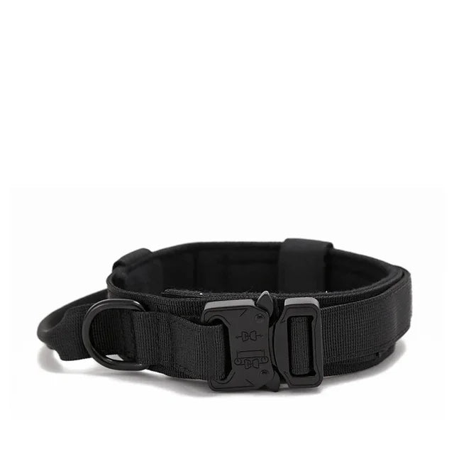 AdventurePro Durable Collar and Leash