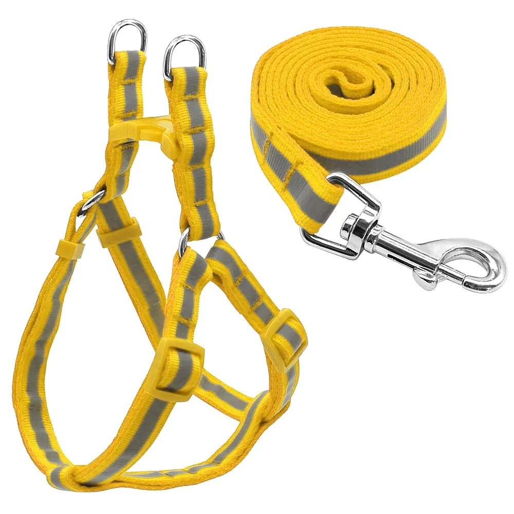 Leash and Harness Pair