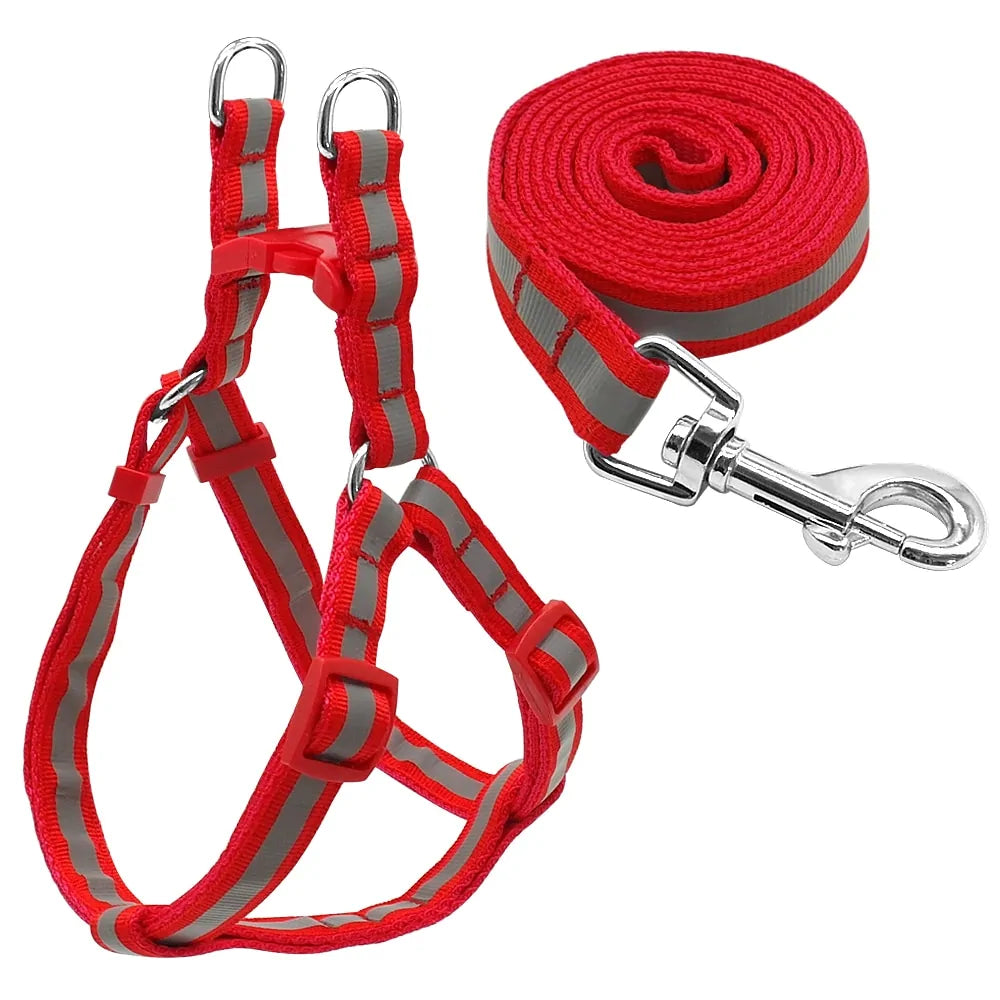 Leash and Harness Pair