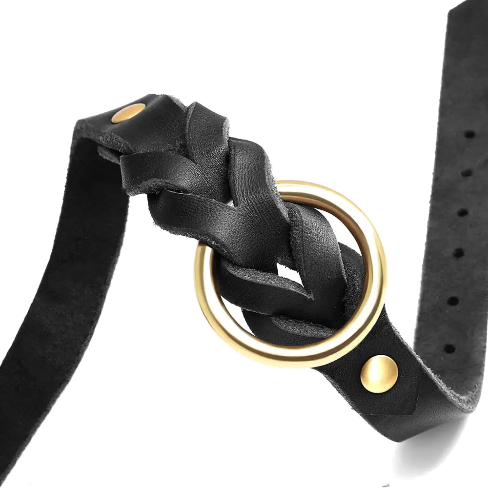 Sleek Stylish Leash and Collar Set