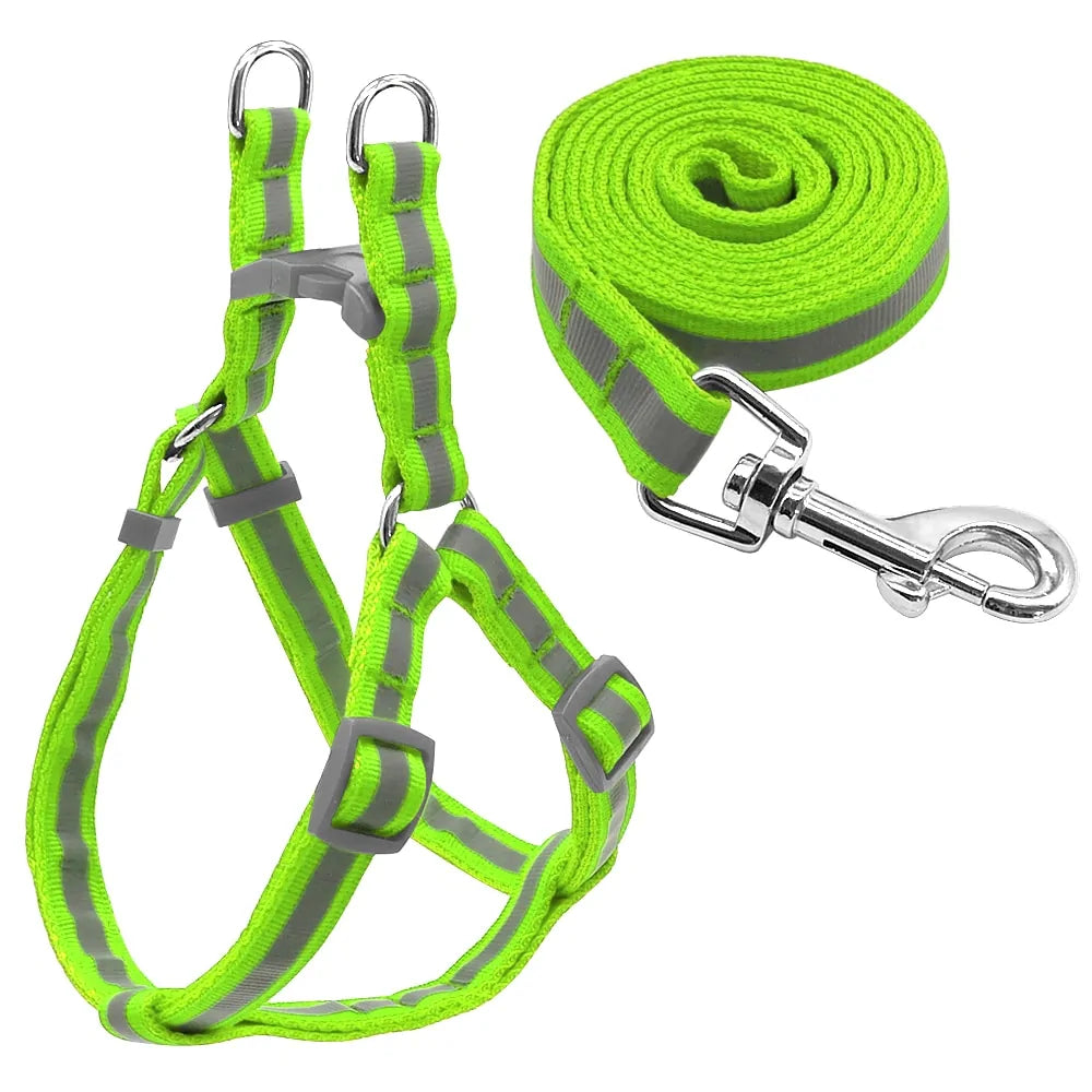 Leash and Harness Pair