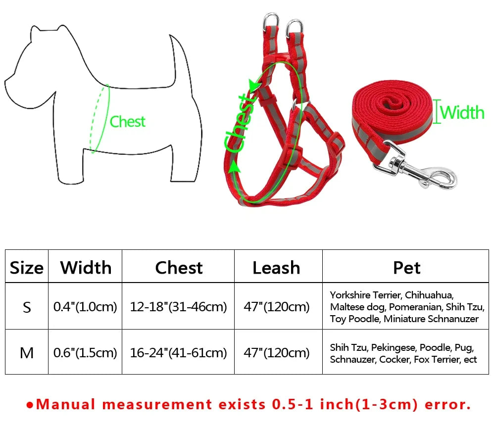 Leash and Harness Pair