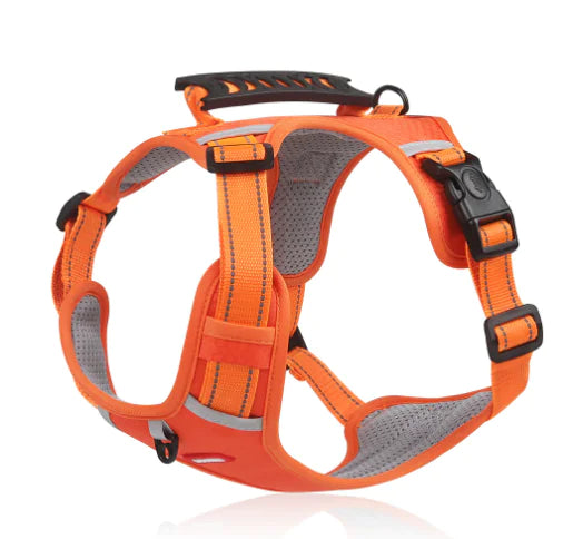 Reflective Dog Harness