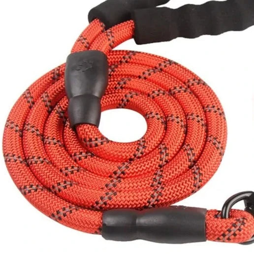 Training Dog Leash