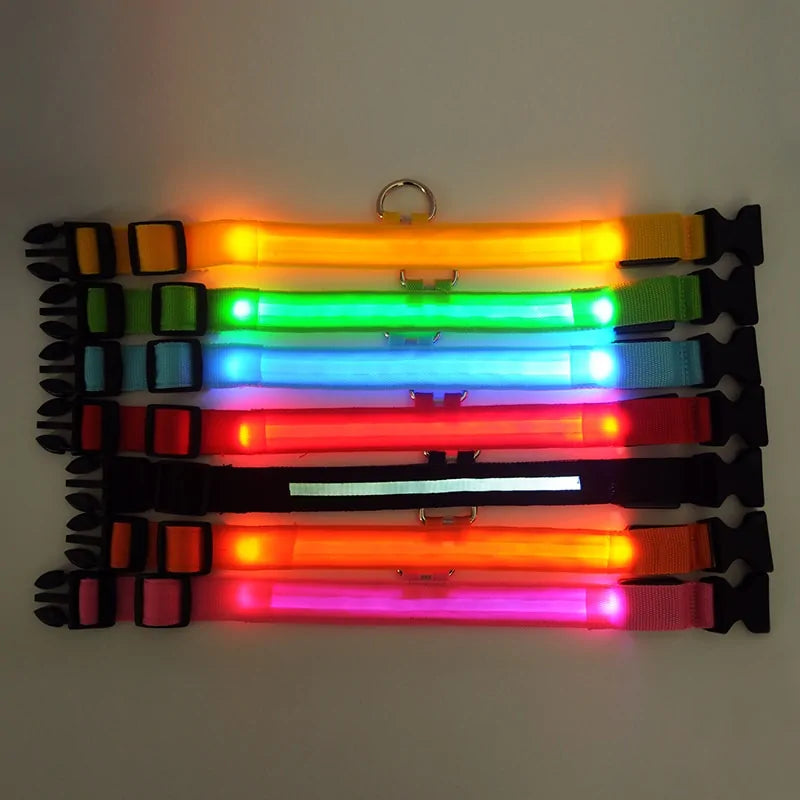 BrightPaw LED Pet Collar